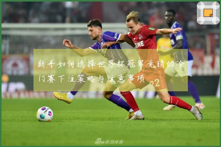 新手如何选择世界杯冠军竞猜的冷门赛下注策略与注意事项