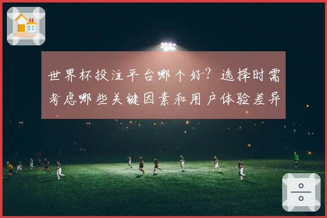 世界杯投注平台哪个好？选择时需考虑哪些关键因素和用户体验差异