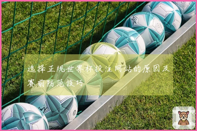 选择正规世界杯投注网站的原因及赛前防范技巧