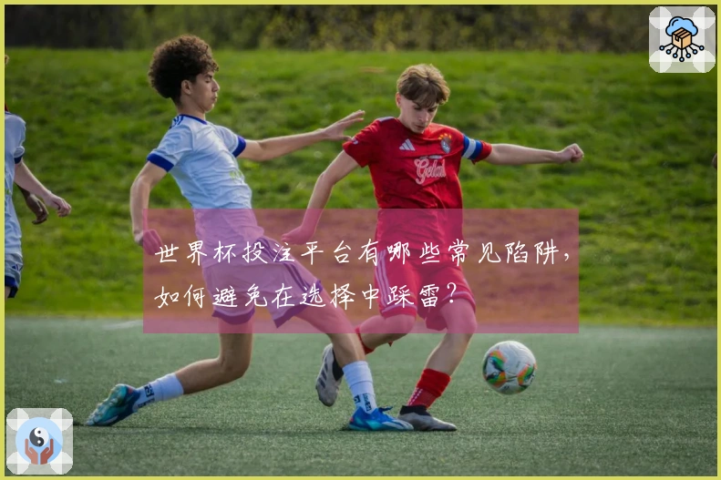 世界杯投注平台有哪些常见陷阱，如何避免在选择中踩雷？