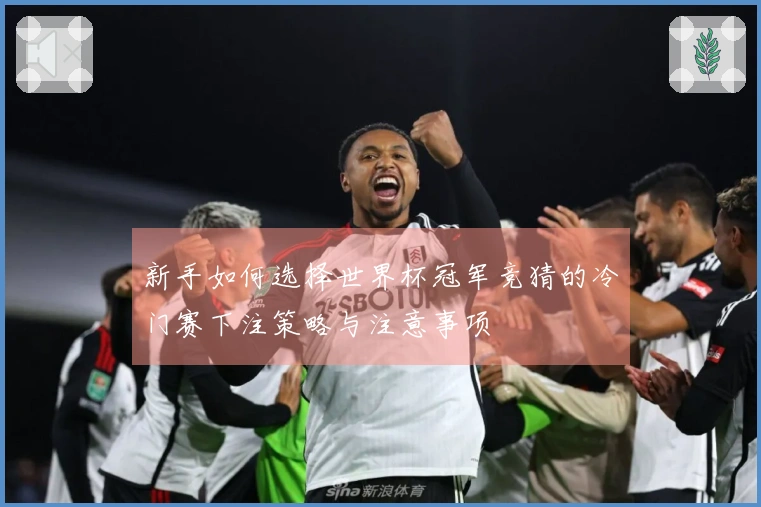 新手如何选择世界杯冠军竞猜的冷门赛下注策略与注意事项