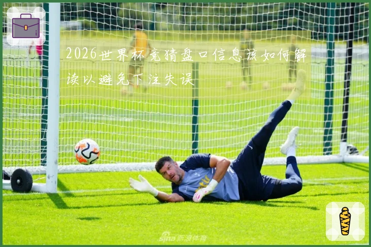 2026世界杯竞猜盘口信息该如何解读以避免下注失误