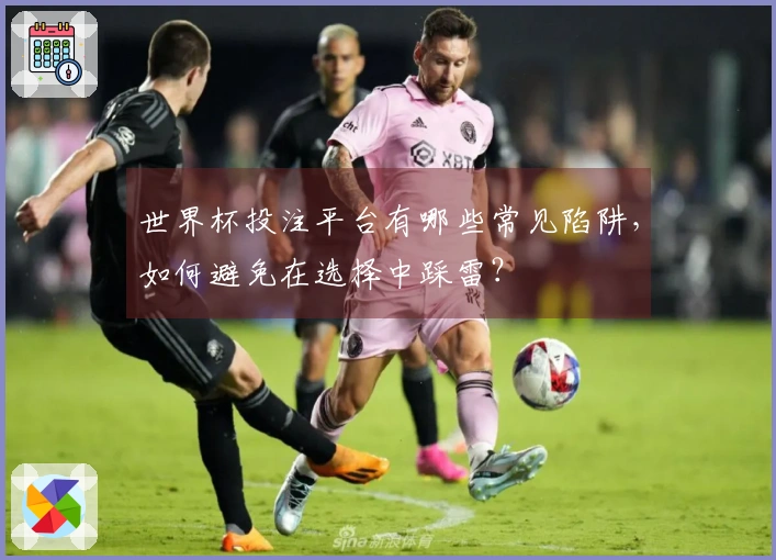 世界杯投注平台有哪些常见陷阱，如何避免在选择中踩雷？