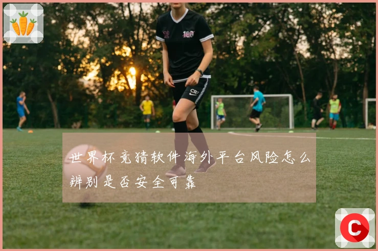 世界杯竞猜软件海外平台风险怎么辨别是否安全可靠
