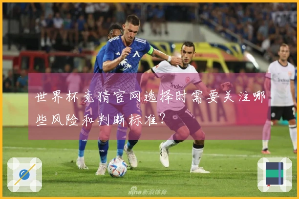 世界杯竞猜官网选择时需要关注哪些风险和判断标准？