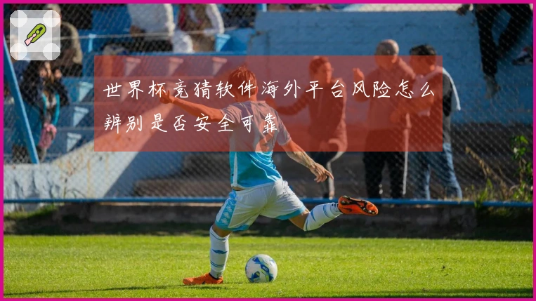 世界杯竞猜软件海外平台风险怎么辨别是否安全可靠