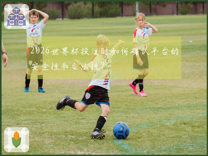 2026世界杯投注时如何确认平台的安全性和合法性？