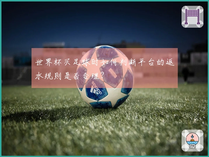 世界杯买足球时如何判断平台的返水规则是否合理？